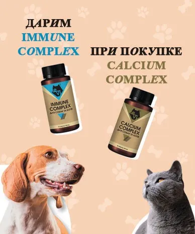 Дарим IMMUNE COMPLEX при покупке CALCIUM COMPLEX