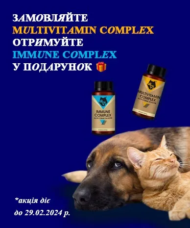 Даруємо IMMUNE COMPLEX при покупці MULTIVITAMIN COMPLEX