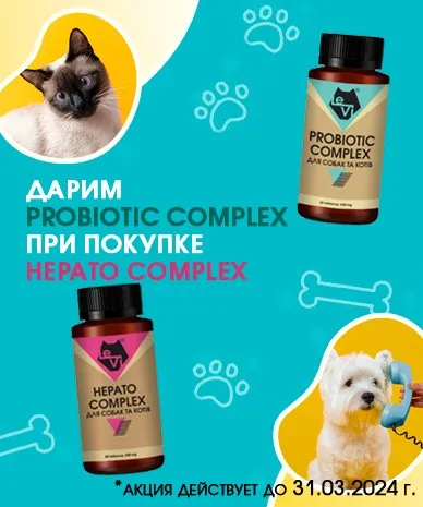 Дарим PROBIOTIC COMPLEX при покупке HEPATO COMPLEX